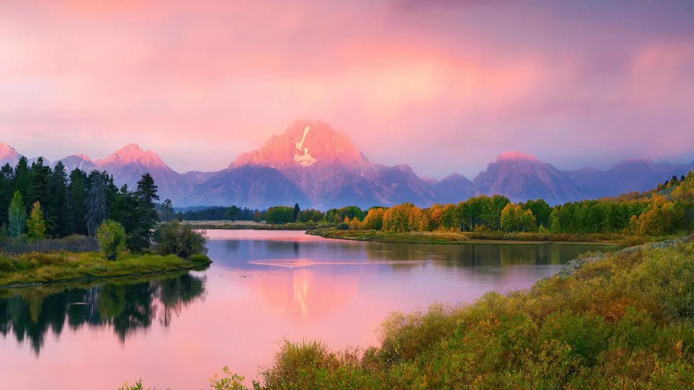 高标准全自动